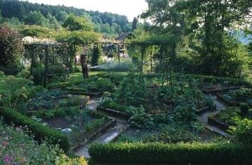 Afficher limage dorigine