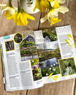 Le jardin est dans la presse ce mois-ci 🌞 Un avant goût de la floraison des narcisses à  (...)