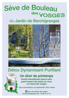 La Sève de bouleau coule au Jardin de Berchigranges et la récolte va commencer. Vente directe sur  (...)