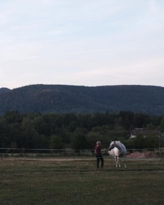 🌲 « C’est un tel espoir pour l’Homme, ce jardin qui revit chaque année. » A. Ledig Et si  (...)